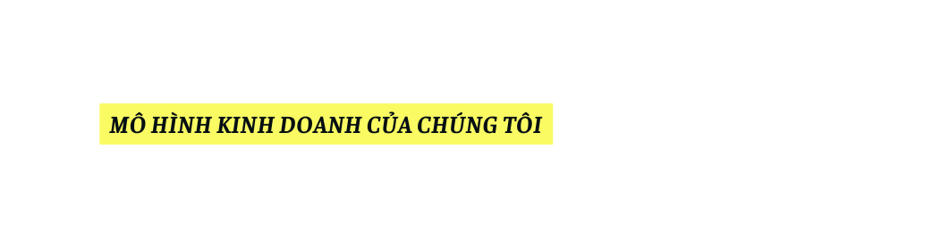 MÔ HÌNH KINH DOANH CỦA CHÚNG TÔI